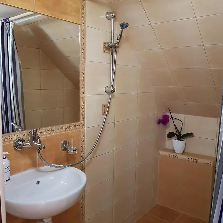 Penzión pre hostí Apartmany 105